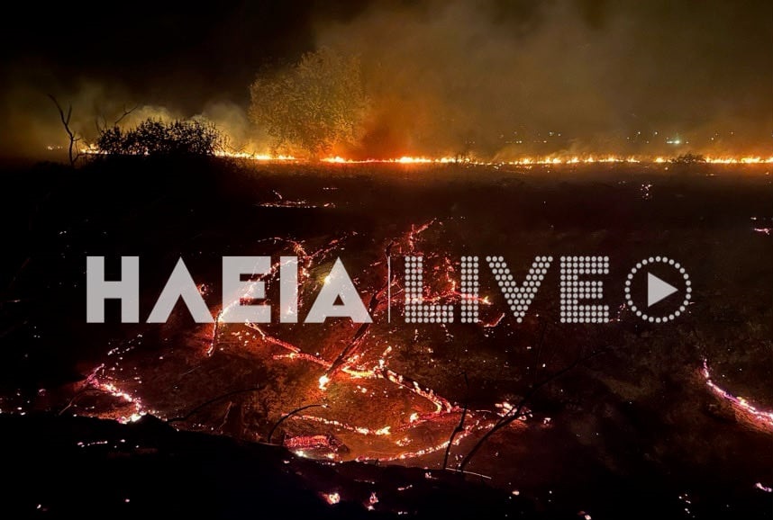 Φωτιά Καβούρι Ηλείας