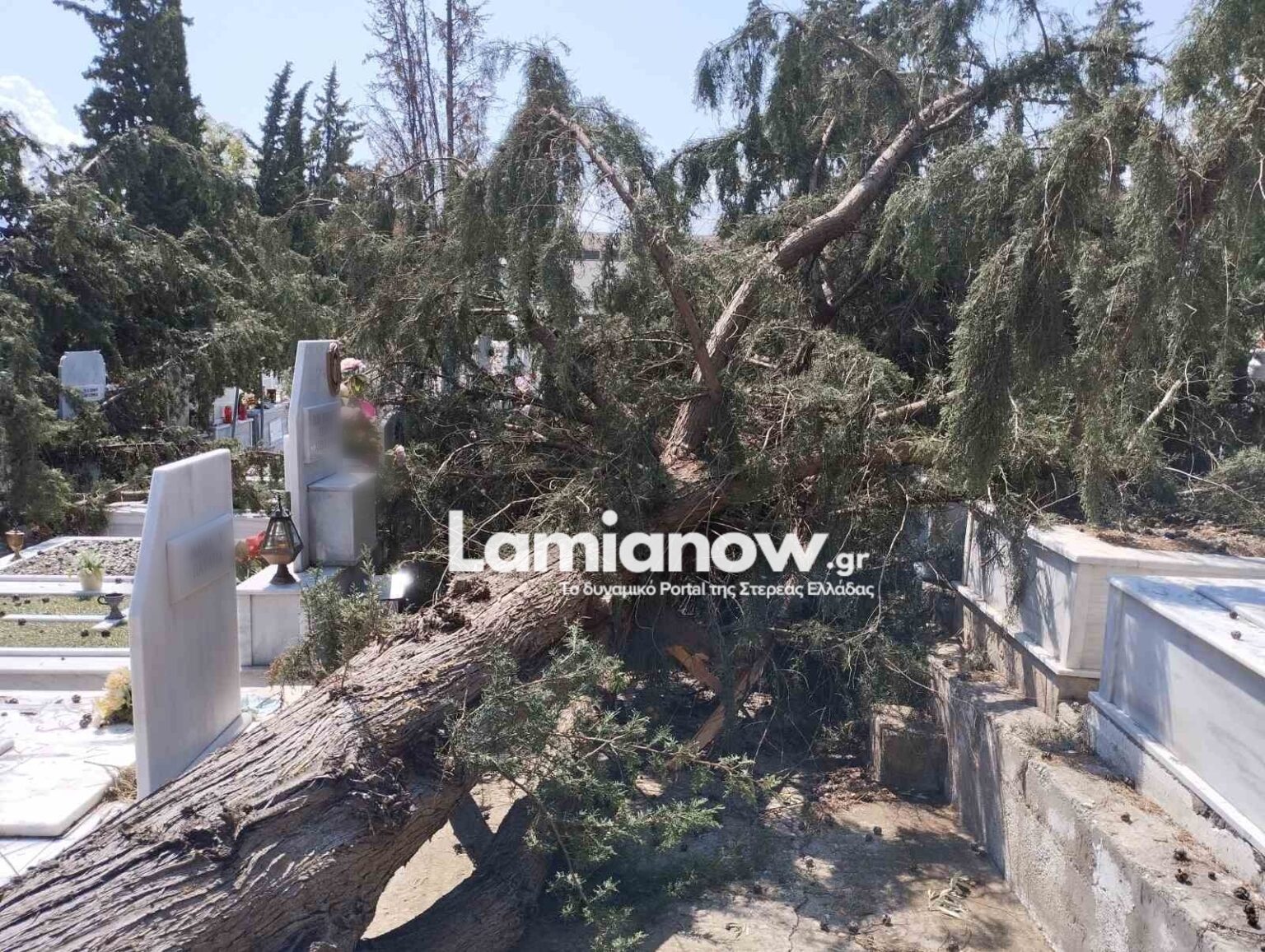 Λαμία: Σοβαρές ζημιές στο κοιμητήριο της Ξηριώτισσας από την κακοκαιρία – Δέντρα ξεριζώθηκαν, μνήματα έσπασαν