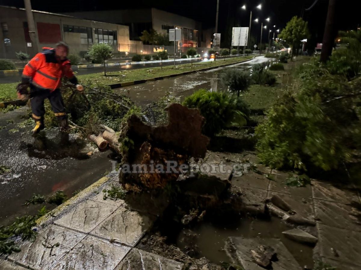 Ξερίζωσε δέντρα το μπουρίνι στη Λαμία