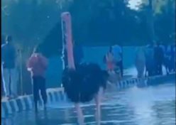 ΝΙΓΗΡΙΑ ΣΤΡΟΥΘ