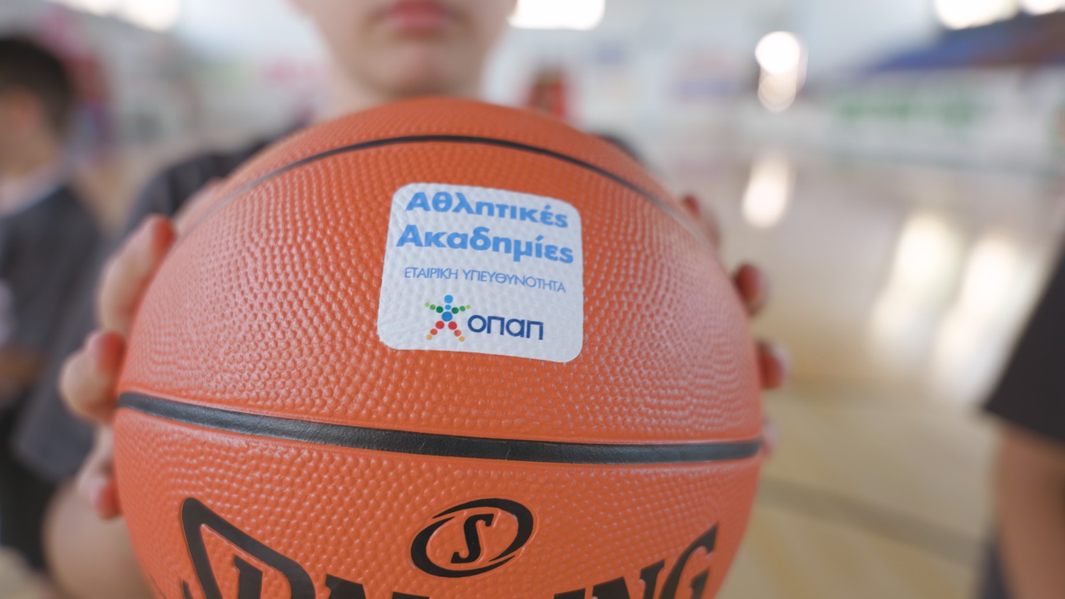 ΟΠΑΠ Ακαδημίες