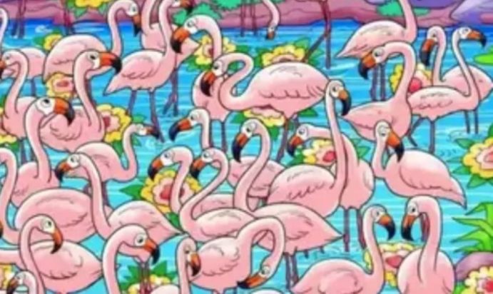 Οπτική ψευδαίσθηση