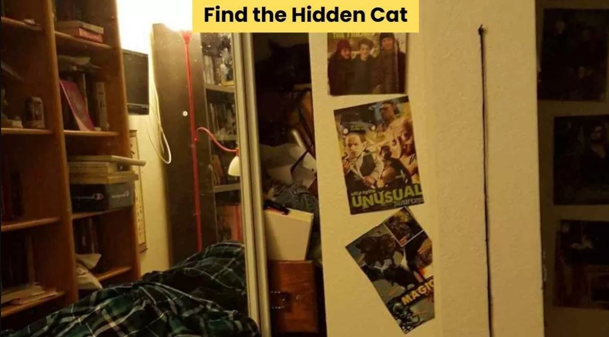 Οπτική ψευδαίσθηση: Μόνο αν έχετε αετίσια ματιά θα βρείτε γάτα σε 7 δευτερόλεπτα