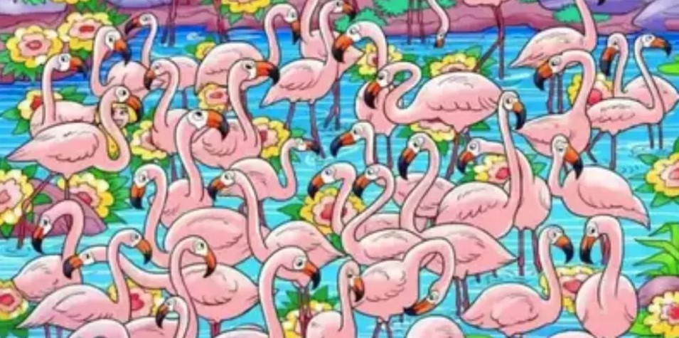 Οπτική ψευδαίσθηση