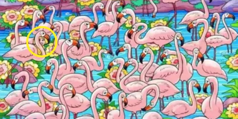 Οπτική ψευδαίσθηση