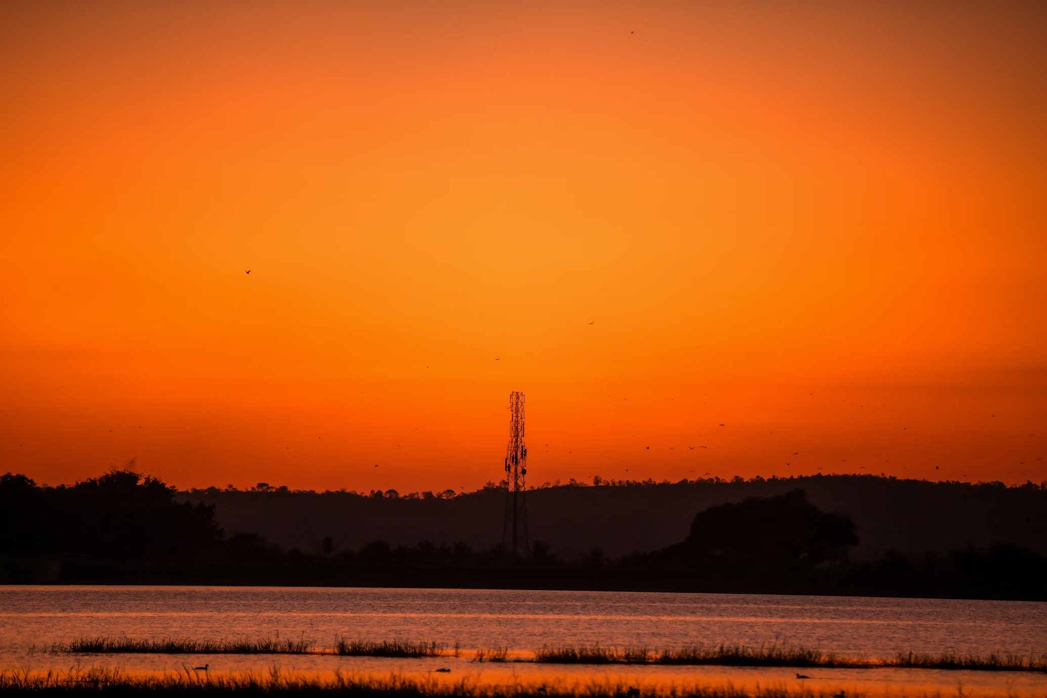 Καλοκαίρι 2024: Το θερμότερο των τελευταίων ετών – Δείτε αναλυτικά τι κατέγραψαν οι σταθμοί του Αστεροσκοπείου Αθηνών σε όλη τη χώρα