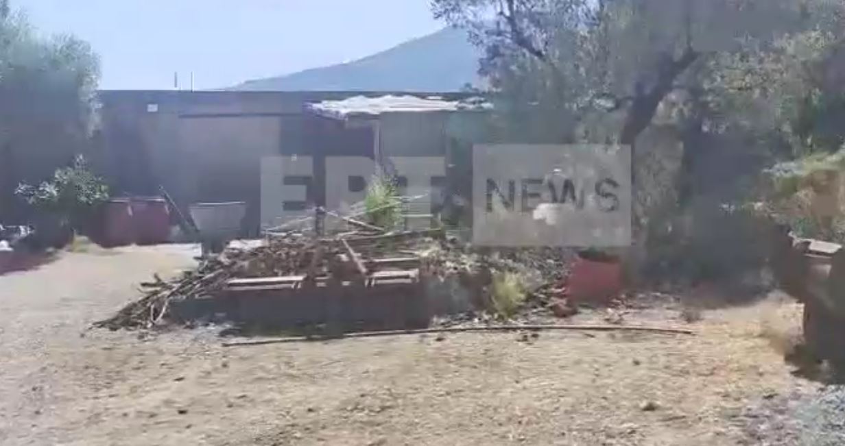 Δολοφονική επίθεση στο Ρέθυμνο: Βγήκε από τη ΜΕΘ ο 69χρονος κτηνοτρόφος – «Κλειδί» η κατάθεσή του