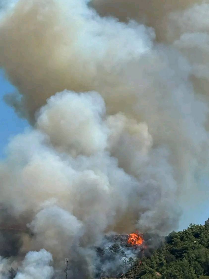 Ρόδος φωτιά