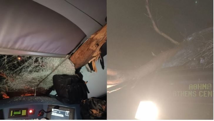 τρένο- δέντρα- Χαλκίδα