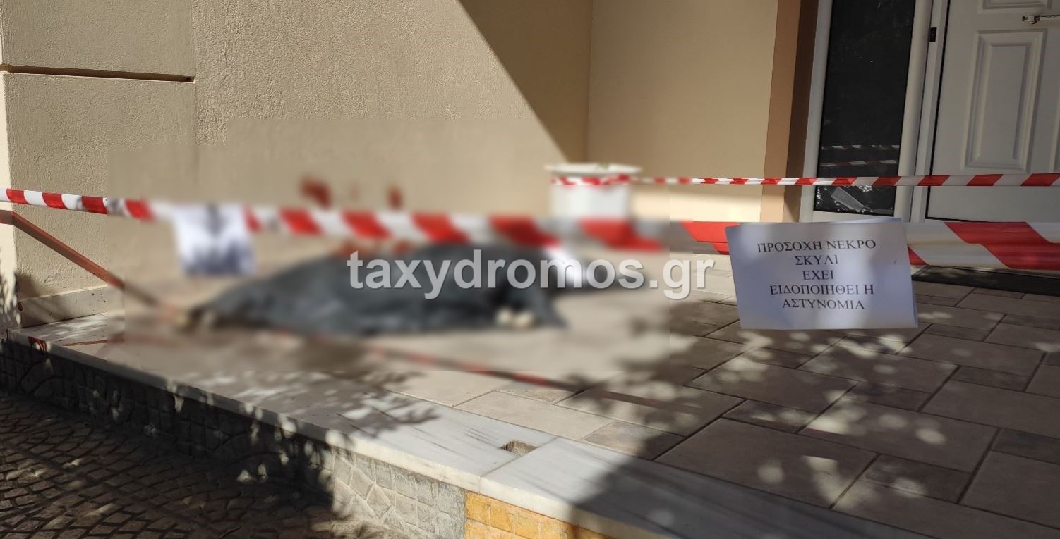 Φρίκη στον Βόλο: Μαχαίρωσαν μέχρι θανάτου αδέσποτο σκύλο – Αναζητούνται οι δράστες