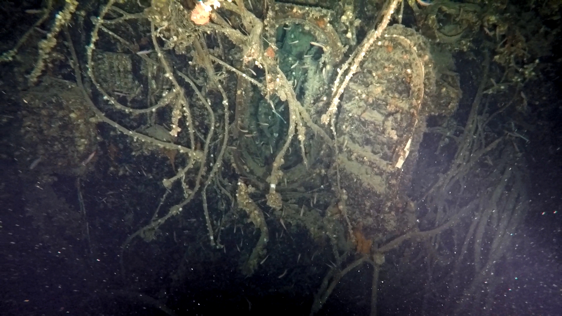 Eντοπίστηκε βρετανικό υποβρύχιο του Β΄ Παγκοσμίου Πολέμου στο Ικάριο Πέλαγος – Τα ίχνη του χάθηκαν τον Οκτώβριο του 1943