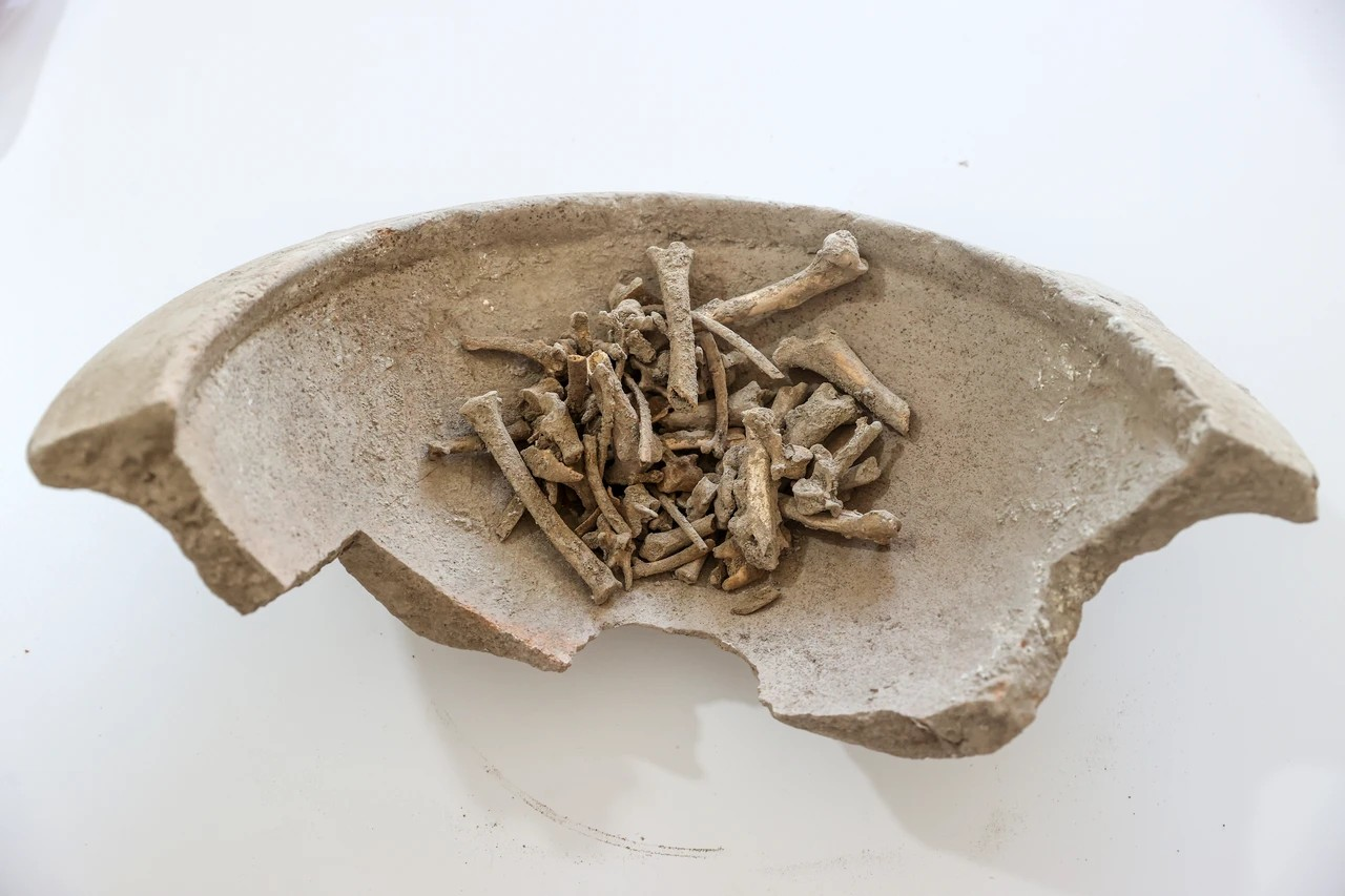 Ανασκαφές στην αρχαία πόλη Σαύατρα, στο Ικόνιο, έχουν αποκαλύψει σκελετούς βρεφών μέσα σε πήλινα αγγεία, τα οποία μελετώνται ώστε να προσφέρουν πληροφορίες σχετικά με την ιστορία της πόλης. Φωτογραφία: ΑΑ