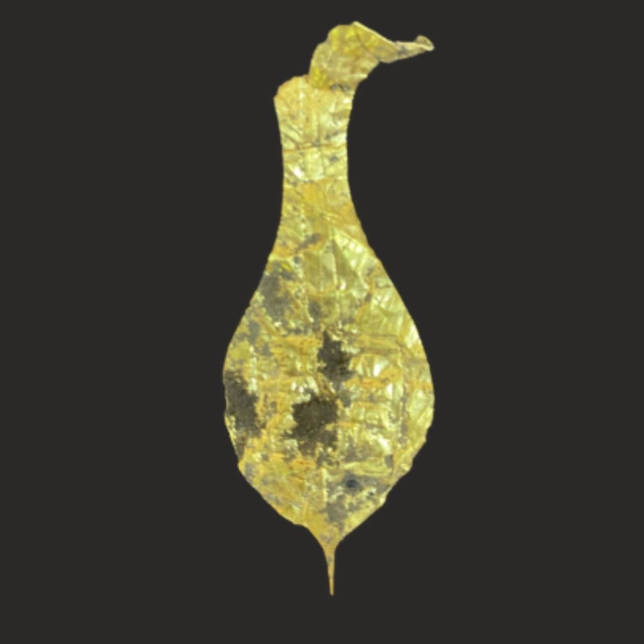 H αρχαία ρωμαϊκή χρυσή πλακέτα που ανακαλύφθηκε στο φρούριο Γκόνιο – Άψαρος στη Γεωργία. Φωτογραφία: Natalia Lockley/ Polish Centre of Mediterranean Archaeology at the University of Warsaw