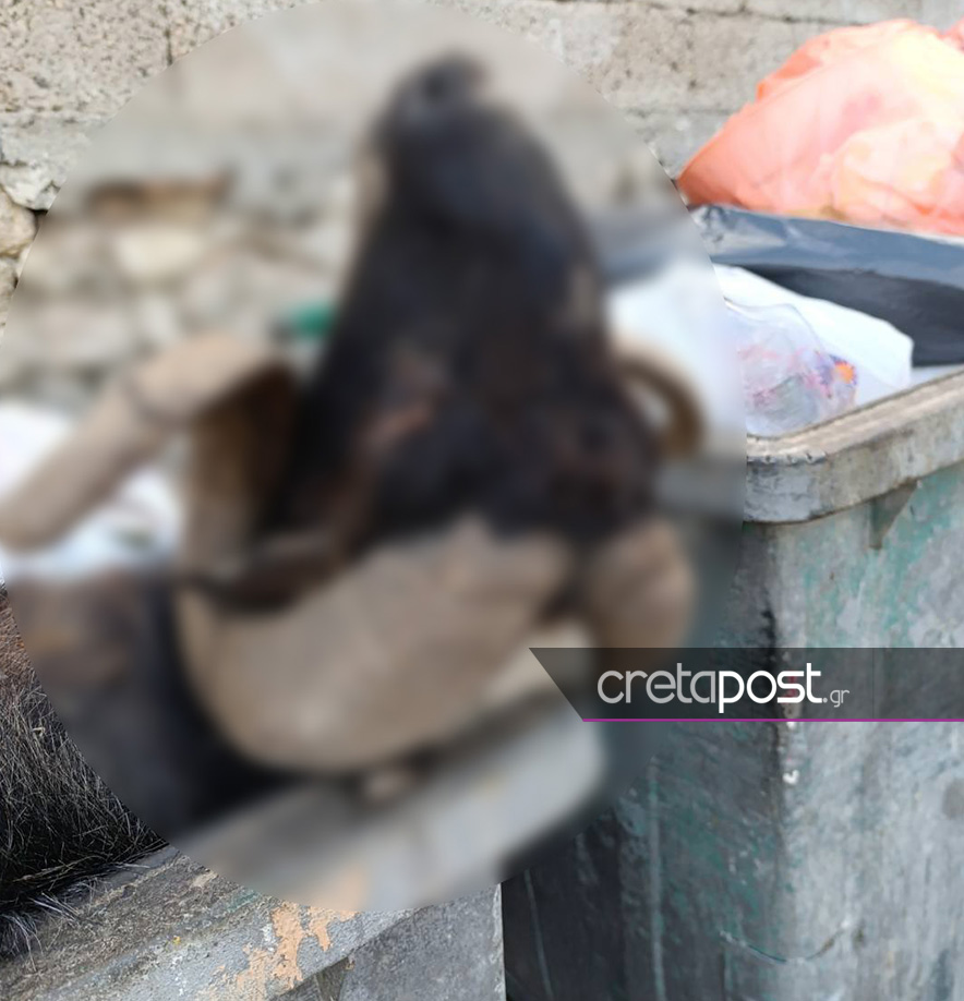 Κριάρι, κάδος απορριμμάτων, Ηράκλειο, Κρήτη