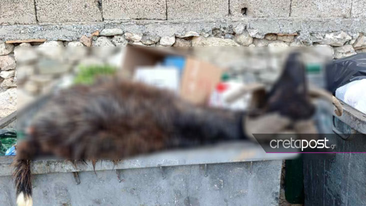Κριάρι, κάδος απορριμμάτων, Ηράκλειο, Κρήτη