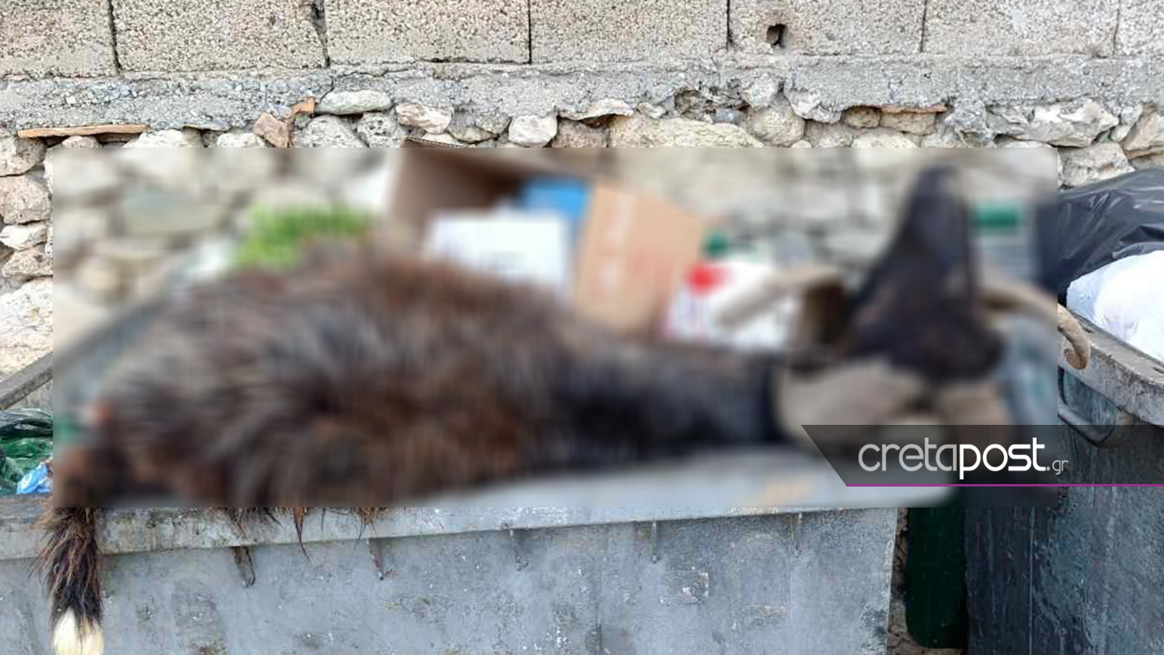 Κριάρι, κάδος απορριμμάτων, Ηράκλειο, Κρήτη