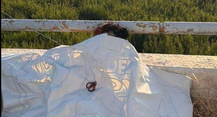 ΜΕΞΙΚΟ ΦΟΝΟΙ