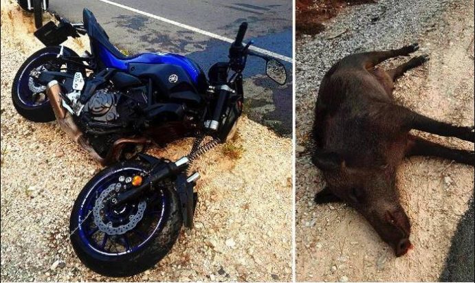 ΜΗΧΑΝΗ ΑΓΡΙΟΓΟΥΡΟΥΝΟ