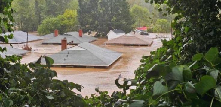 τυφωνασ ελιν