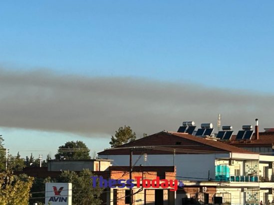 Θεσσαλονίκη: Φωτιά στην Σίνδο