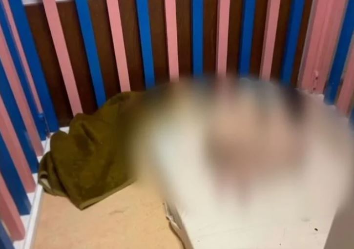 Η Σοφία Ζαχαράκη για το Κέντρο Άγιος Δημήτριος