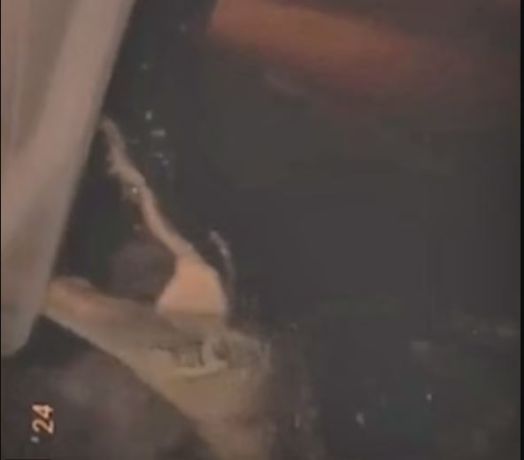 ΑΛΙΓΑΤΟΡΑΣ