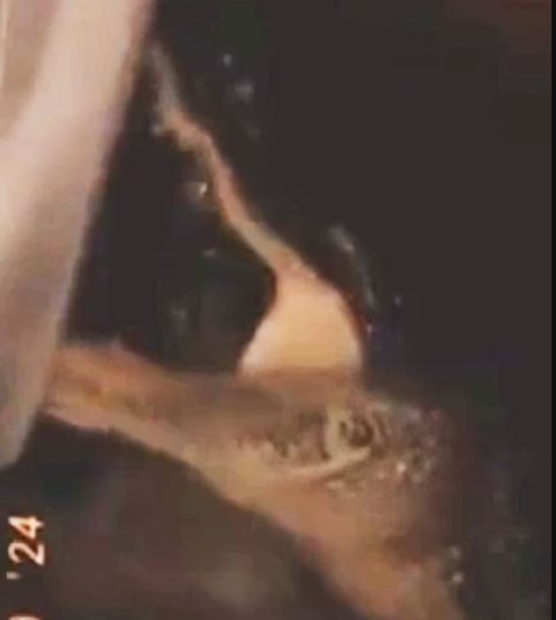 ΑΛΙΓΑΤΟΡΑΣ