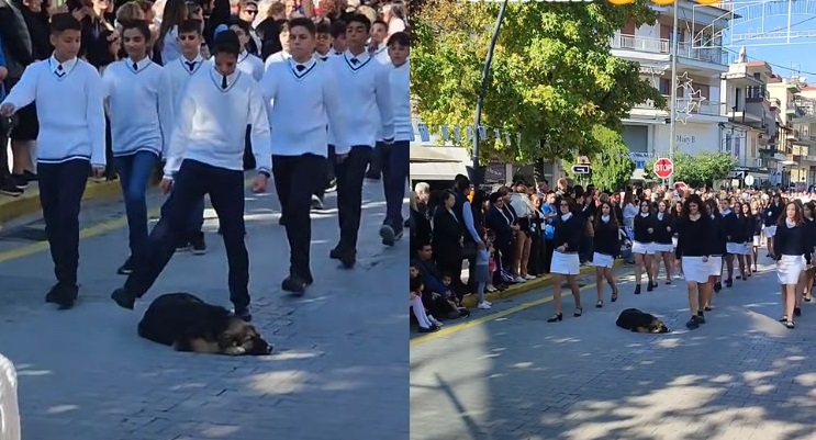 Αριδαία σκύλος παρέλαση 28η Οκτωβρίου