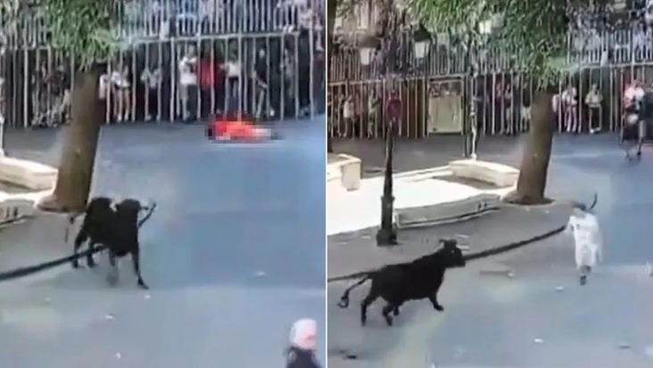 Ισπανία ταύρος