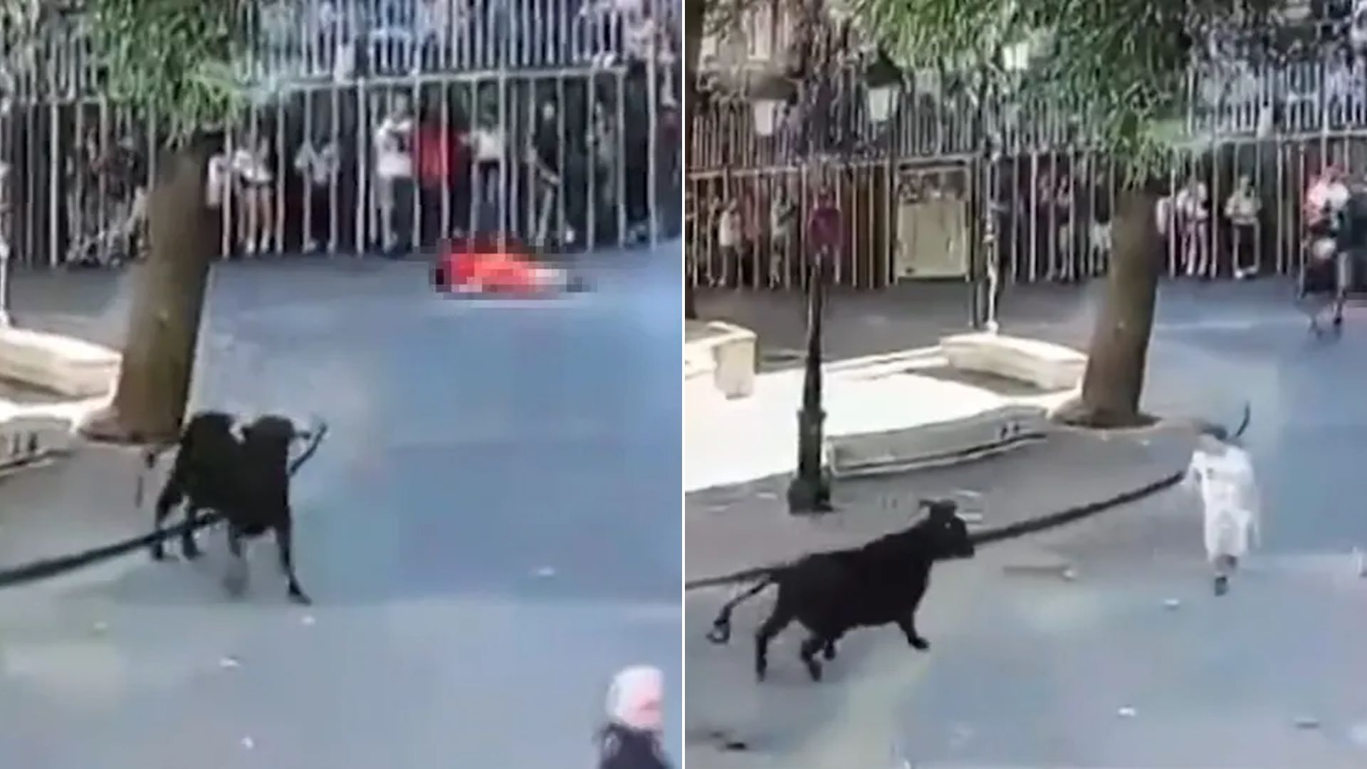 Ισπανία ταύρος