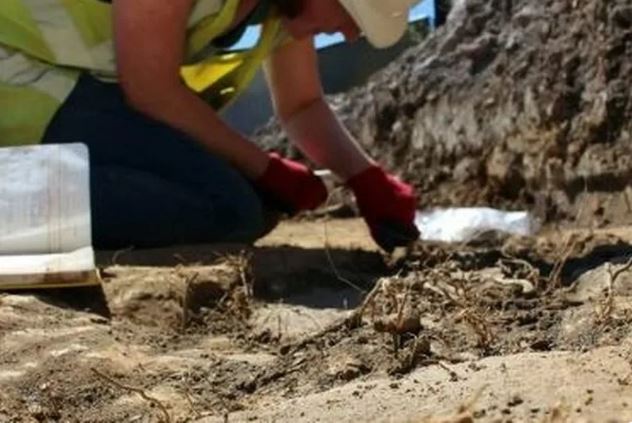 Οι ανασκαφές και οι έρευνες στον χώρο του παλιού νοσοκομείου συνεχίζονται.