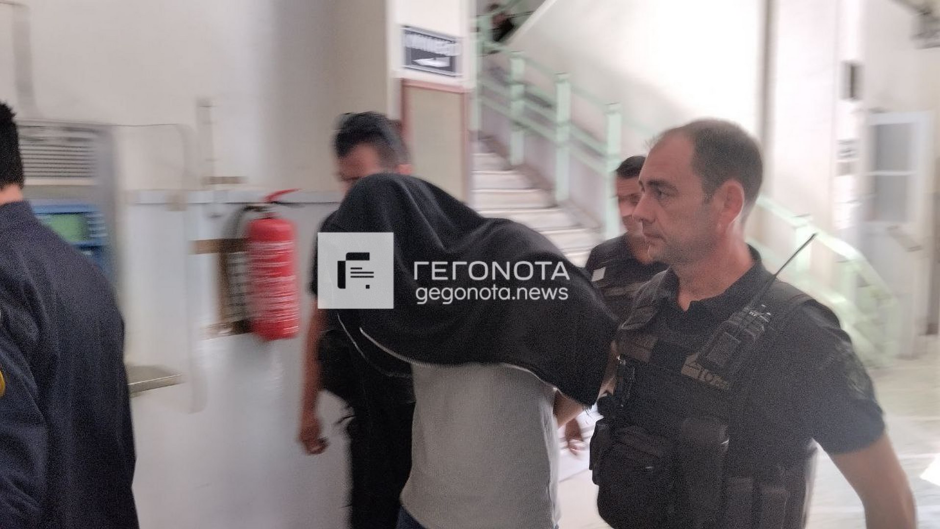 «serial killer» αδέσποτων ζώων Βόλος