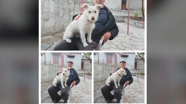 Κτηνωδία στη Φλώρινα: Βασάνισαν και σκότωσαν σκυλάκι – Το είχε υιοθετήσει 72χρονος μετά την απώλεια της συζύγου και του γιου του