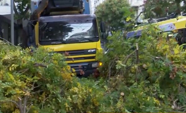 Φορτηγό έπεσε πάνω σε δέντρο στην Πατησίων – Κλειστές δύο λωρίδες κυκλοφορίας – Δείτε βίντεο