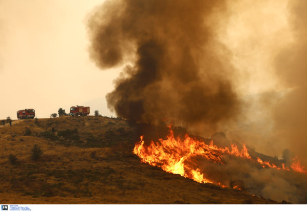 Φωτιά Ξυλόκαστρο