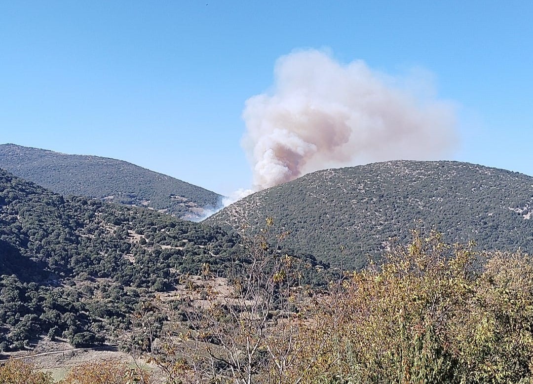 Φωτιά στην Αγία Παρασκευή Πετρωτού Αχαΐας – Σηκώθηκαν εναέρια μέσα