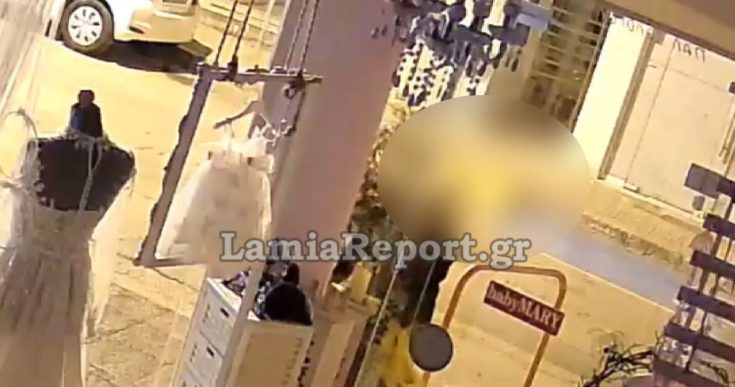 Λαμία κλοπή γλάστρα ελιά