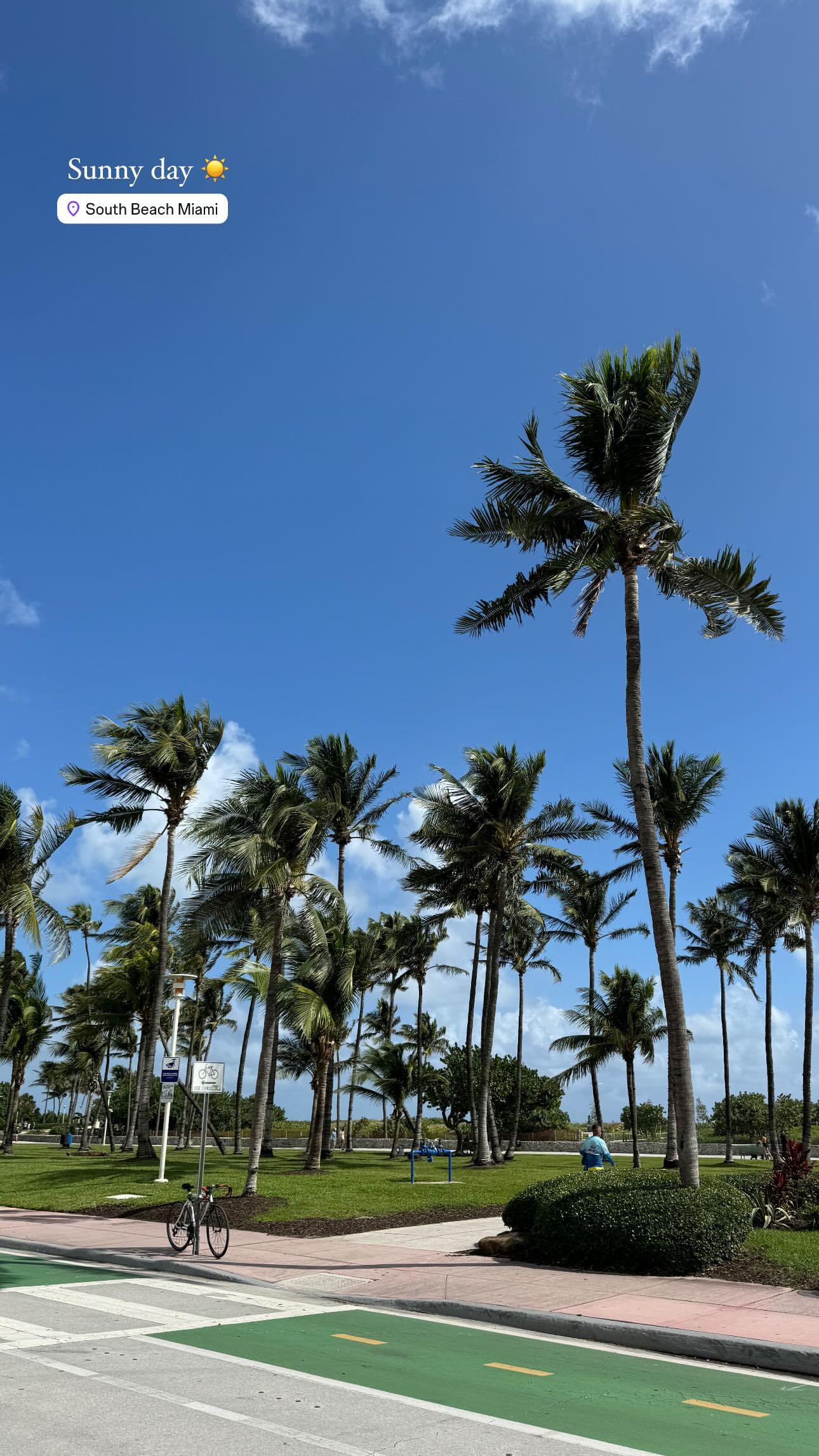 Ιωάννα Τούνη - Δημήτρης Αλεξάνδρου - Μαϊάμι