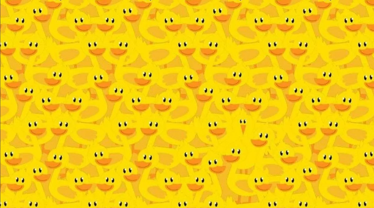 Οπτική ψευδαίσθηση: Μόνο αν έχετε παρατηρητικότητα ντετέκτιβ θα βρείτε το κοτοπουλάκι σε 5 δευτερόλεπτα