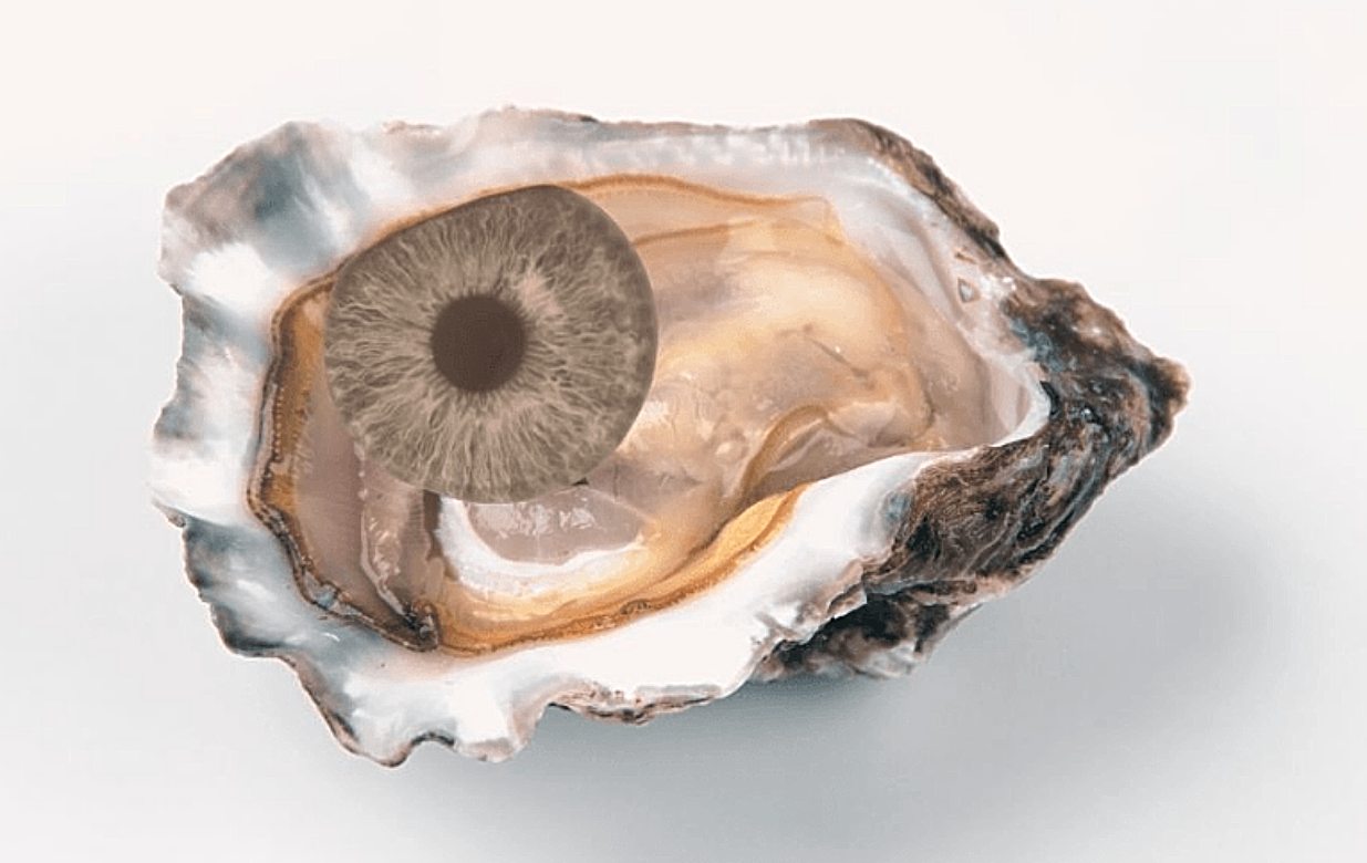 Τεστ προσωπικότητας: Αυτό που θα δείτε πρώτα στην εικόνα αποκαλύπτει τα κρυφά σας χαρακτηριστικά