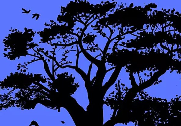 τεστ προσωπικότητας