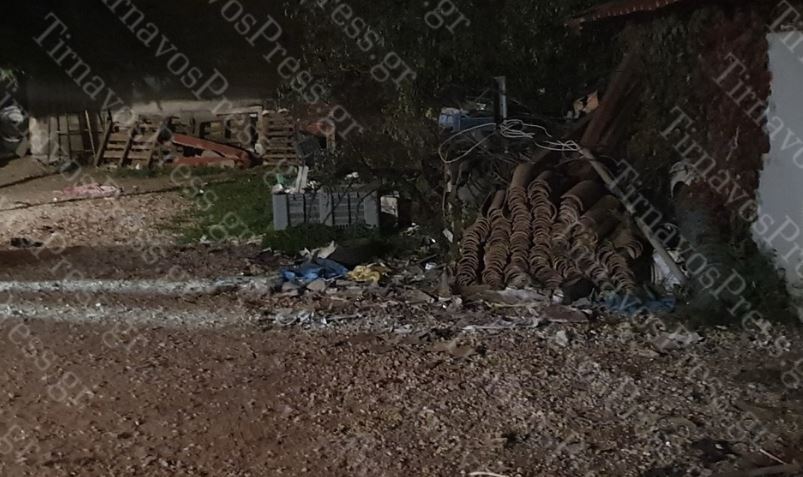 Τραγωδία στη Λάρισα: Σκυλιά κατασπάραξαν 70χρονη στην αυλή του σπιτιού της – Συνελήφθησαν ο γιός και ο άντρας της 