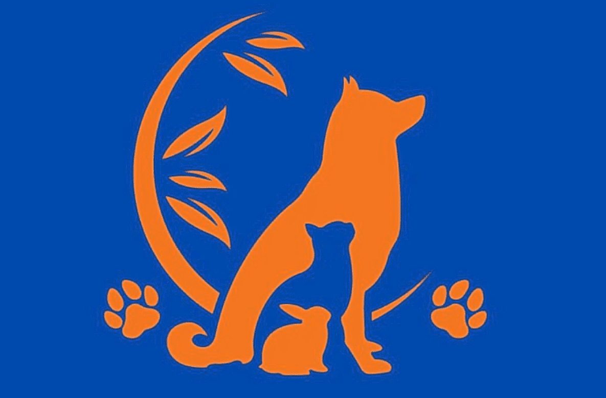 Τεστ προσωπικότητας: Είστε αυθόρμητος ή οργανωτικός; Αυτό που βλέπετε πρώτα στην εικόνα θα σας αποκαλύψει την αλήθεια