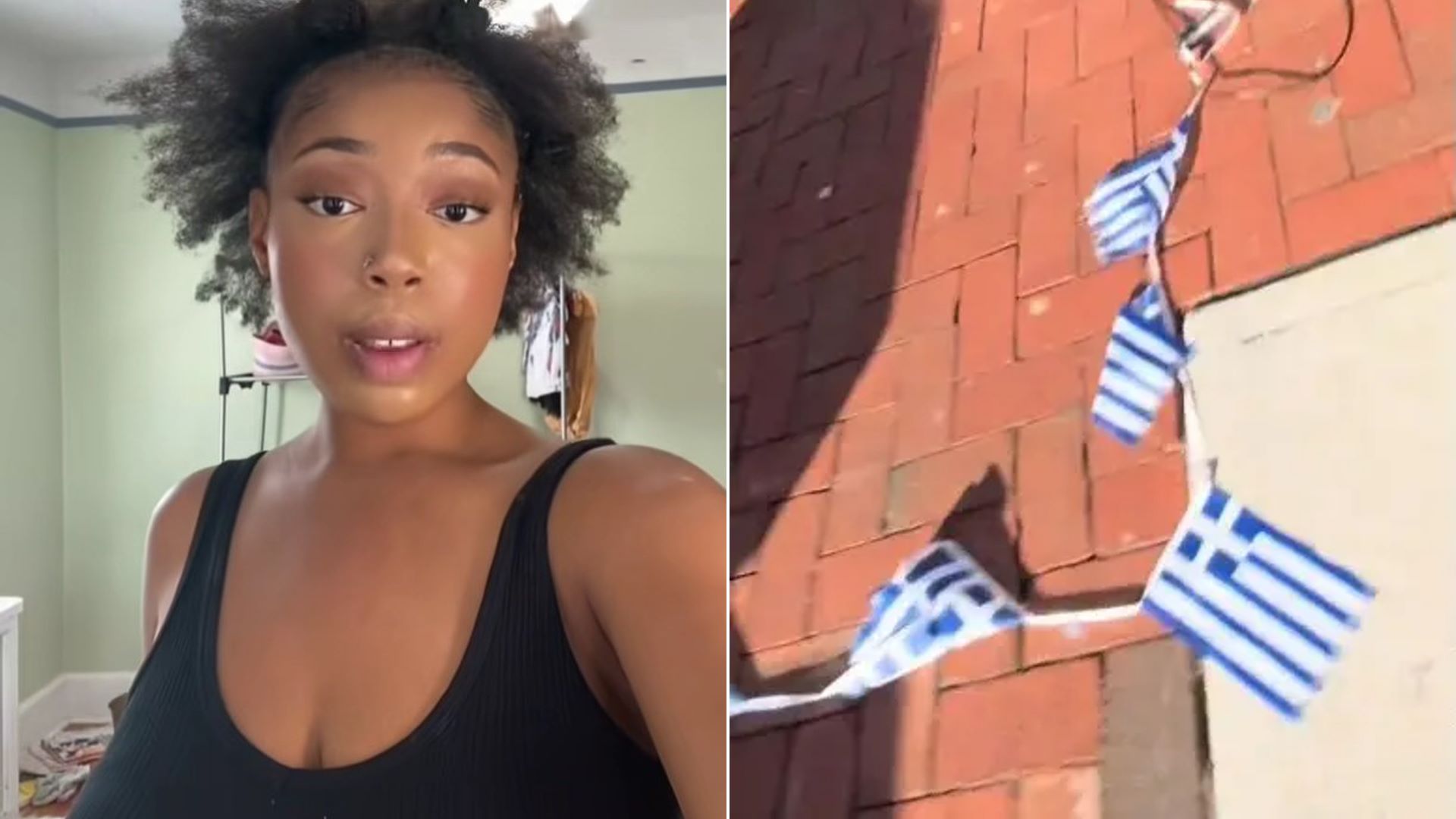 ΗΠΑ: Η TikToker που έσκισε ελληνικές σημαίες αναγνώρισε το λάθος της – «Νόμιζα ότι ήταν του Ισραήλ»