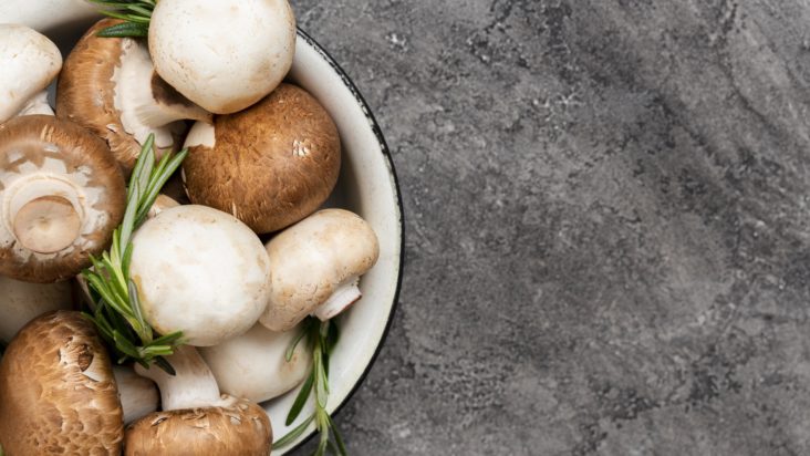 Μανιτάρια: Πώς να τα αποθηκεύσετε σωστά ώστε να παραμείνουν φρέσκα για περισσότερο - Συμβουλές από ειδικούς