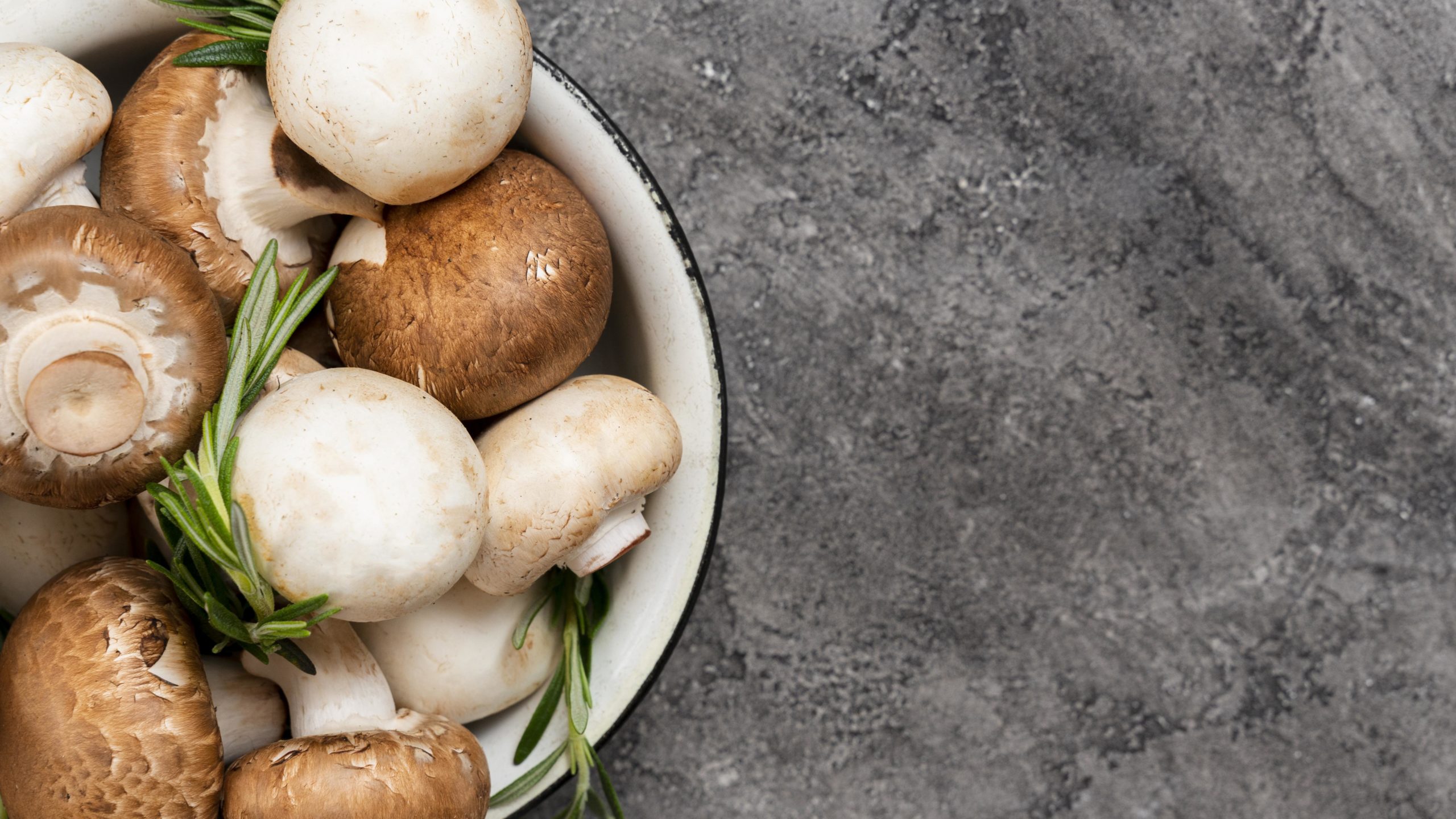 Μανιτάρια: Πώς να τα αποθηκεύσετε σωστά ώστε να παραμείνουν φρέσκα για περισσότερο - Συμβουλές από ειδικούς