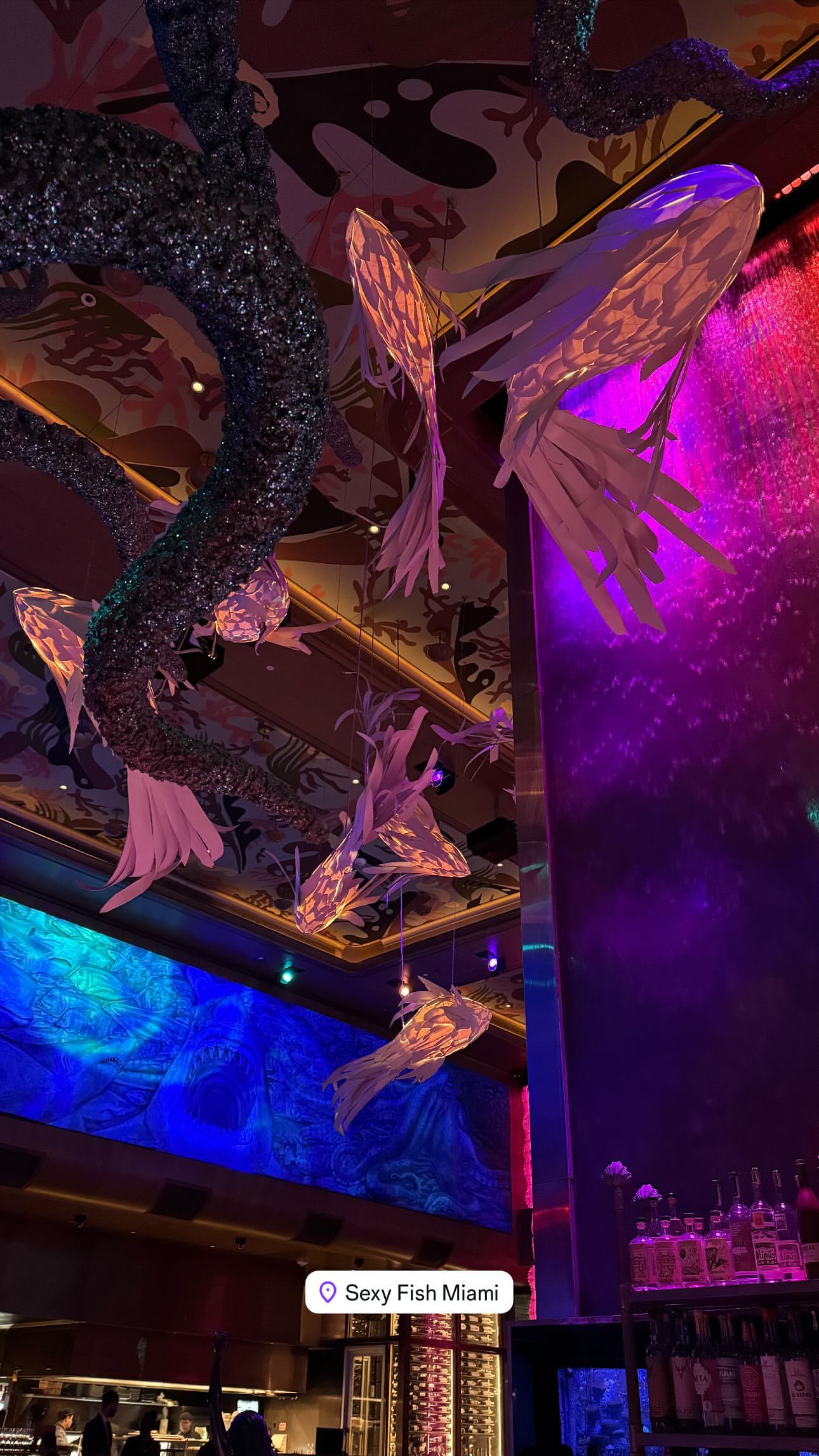 Ιωάννα Τούνη - Δημήτρης Αλεξάνδρου - Μαϊάμι