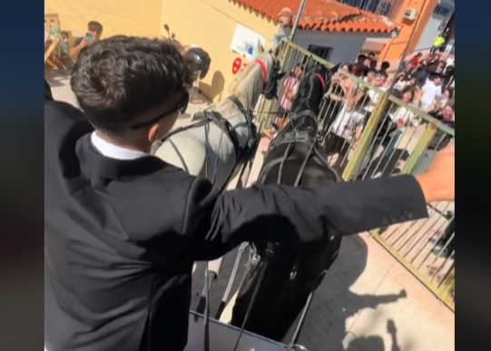 Βούλα: Μαθητής πήγε στο σχολείο με άμαξα και άλογα για να μαζέψει ψήφους για το 15μελές – Βίντεο