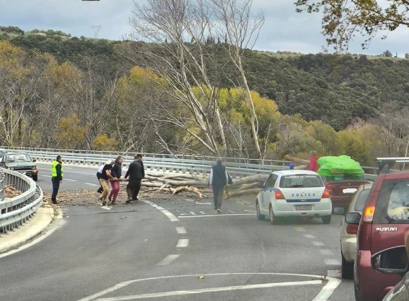 Λάρισα-Τέμπη: Τεράστιο δέντρο έπεσε στο οδόστρωμα και μπλόκαρε την κυκλοφορία 