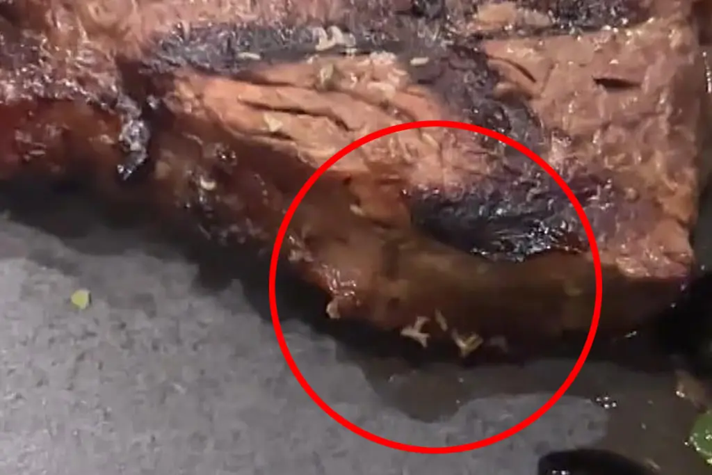 Παρήγγειλε μπριζόλα σε εστιατόριο και τη σέρβιραν με… ζωντανές προνύμφες – «Κάτι κινείται»